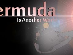 Pink Bermuda Is Another World Facebook Cover