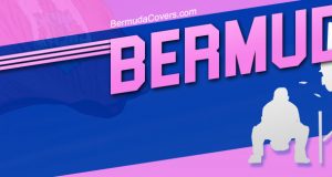 Cricket Bermuda Facebook, Twitter & Phone Screen #5