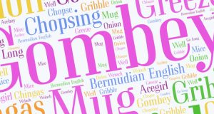 Bermuda Words From Oxford Dictionary Facebook Cover & Phone Screen