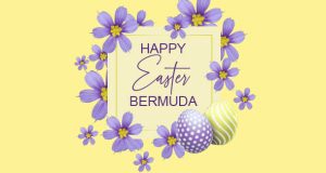 Bermudiana Flower Theme Easter Egg Facebook, Twitter & Phone Screen #2
