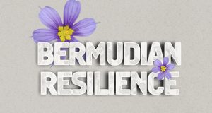 Bermudian Resilience & Bermudiana Facebook, Twitter & Phone Screen #2