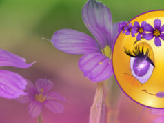 Emoji With Bermudiana Headdress Facebook Cover & Phone Wallpaper