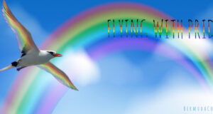 Longtail ‘Flying With Pride’ Facebook Cover & Phone Wallpaper #2