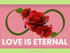 Love Is Eternal Pink & Green Bermuda Rose Infinity Sign Facebook Cover & Phone Wallpaper