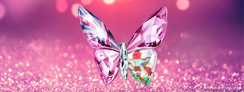 Pink Sparkle Bermuda Flag Glass Butterfly Facebook Cover & Phone Wallpaper  