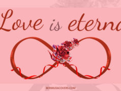 Red & Pink Bermuda Rose Love Is Eternal Facebook Cover & Phone Wallpaper