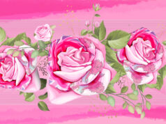 Roses With Bermuda Flag Drawing Facebook Cover & Phone Wallpaper #2