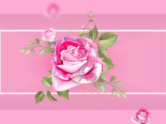 Roses With Bermuda Flag Drawing Facebook Cover & Phone Wallpaper #3