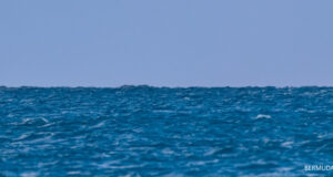 Ocean Horizon Blue View Bermuda Facebook Cover