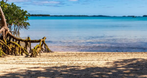 Sun Shade & Serenity In The East End Facebook Cover & Phone Wallpaper
