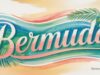 Bermuda Hibiscus Flowers Facebook Cover & Phone Wallpaper
