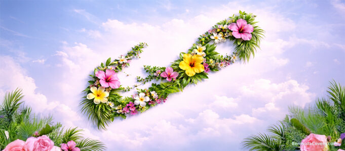 Floral-Shape-of-Bermuda-234254324534--Covers