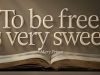 Mary Prince On Freedom Facebook Cover & Phone Wallpaper