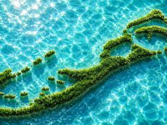 Grass Tide Bermuda Facebook Cover & Phone Wallpaper