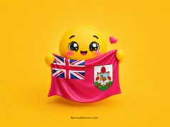 Emoji Loves Bermuda Facebook Cover & Phone Wallpaper