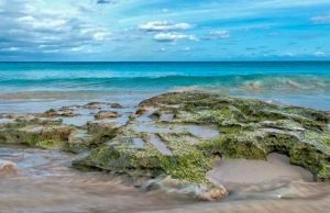 Beach Rocks