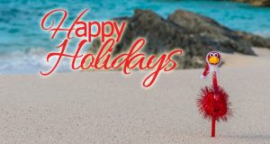 Beachy Christmas Facebook Cover