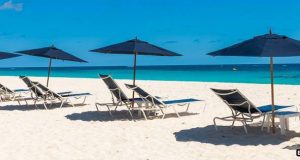 Beach Umbrellas