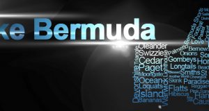 Blue Flare “Like Bermuda”