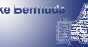 Blue “Like Bermuda”