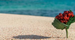 Christmas In Bermuda Facebook Cover