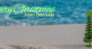 Christmas Tree On Beach Facebook Cover #2