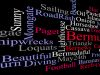 Dark Slanted Word Cloud