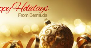 Golden Holidays Facebook Cover