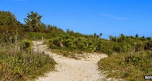Off The Beaten Path