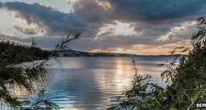 Peeking Through Paradise