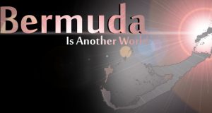 Pink Bermuda Is Another World Facebook Cover