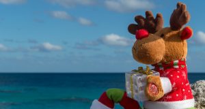 Reindeer On Rocks Facebook Cover #2