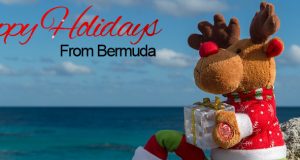 Reindeer On Rocks Facebook Cover