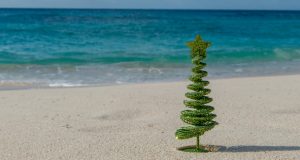 Sandy Christmas Tree Facebook Cover & Phone Wallpaper