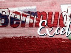 Bermudian Excellence #3