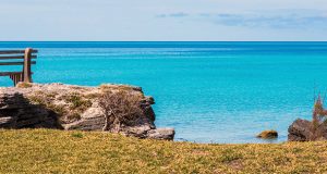 Sitting Looking Out Cover & Phone Screen