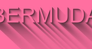 Plain Pink Bermuda Shadow Facebook, Twitter & Phone Screen