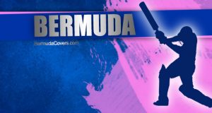 Cricket Bermuda Facebook, Twitter & Phone Screen #4