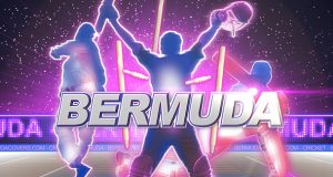 Cricket Bermuda Facebook, Twitter & Phone Screen #9