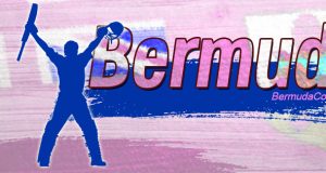 Cricket Bermuda Facebook, Twitter & Phone Screen #7
