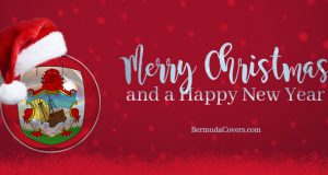 Bermuda Crest Christmas Ball Red Facebook, Twitter & Phone Screen