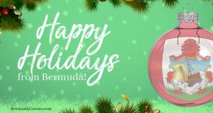Happy Holidays Pale Green Facebook Cover