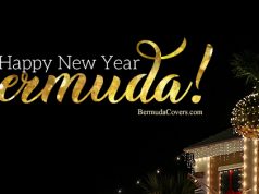 Bermuda Onion Happy New Year Facebook, Twitter & Phone Screen