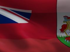 Video: Bermuda & Pan African Waving Flags Facebook Cover
