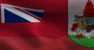Video: Bermuda & Pan African Waving Flags Facebook Cover