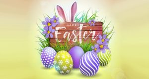 Bermudiana Flower Easter Egg Facebook, Twitter & Phone Screen #3