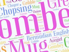 Bermuda Words From Oxford Dictionary Facebook Cover & Phone Screen