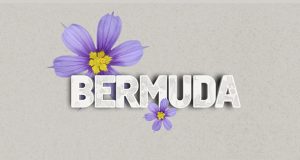 Bermuda With Bermudiana Flower Facebook, Twitter & Phone Screen #2