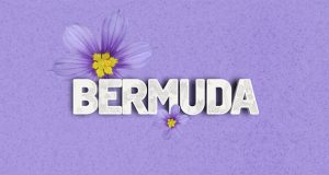 Bermuda Bermudiana Facebook, Twitter & Phone Screen