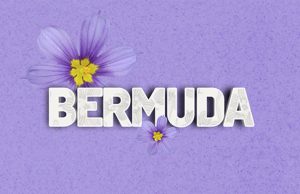 Bermuda Bermudiana Facebook, Twitter & Phone Screen